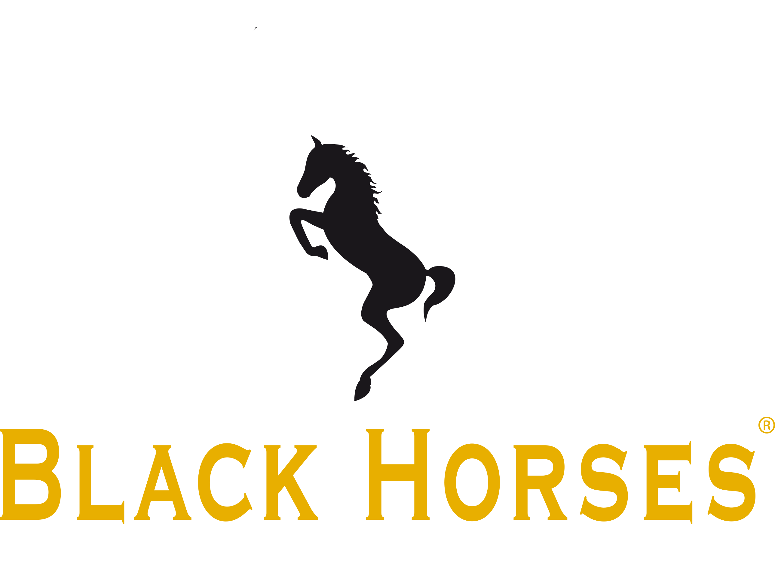 Logo Black horses
